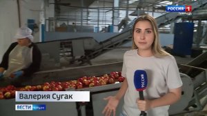 Яблочный сок из Крыма будут поставлять в Китай