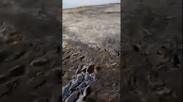 Соленое лечебное озеро в Гуселетово, Алтайский край