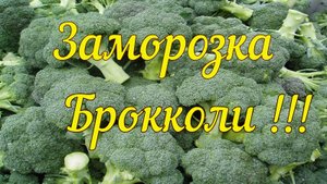 ЗАМОРОЗКА БРОККОЛИ ***ОЧЕНЬ ВЫГОДНАЯ ЗАГОТОВКА В СЕЗОН И ПОЛЕЗНАЯ КРУГЛЫЙ ГОД !