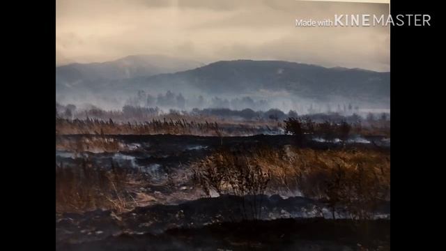 ПОЖАРЫ И ЧТО НУЖНО О НИХ ЗНАТЬ смотреть онлайн