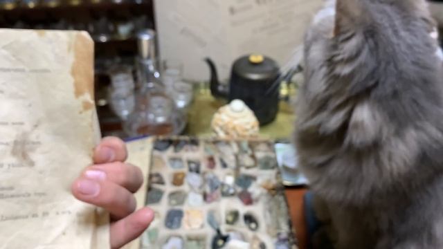 Ой как любопытно! Что же в этом чемоданчике? смотреть онлайн