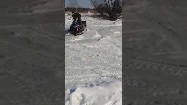 шармакс 550 смотреть онлайн