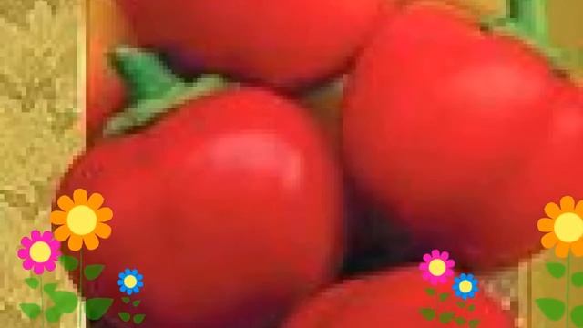 Перец сладкий Колобок (Kolobok). Краткий обзор, описание характеристик, где купить семена смотреть онлайн