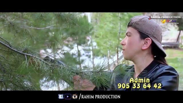 Туй дар Карантин Шахи Сода дугонаи аруса мачак Кард