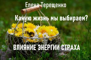 Какую жизнь мы выбираем? Влияние #энергии_страха на человека.