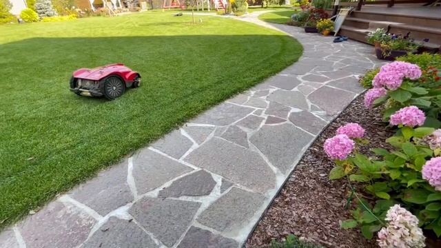 Вся правда о роботах газонокосилках CAIMAN!#садоваятехника #gardening #robotmower #газон #покострав