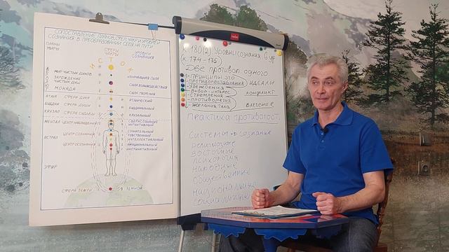 Программное сознание