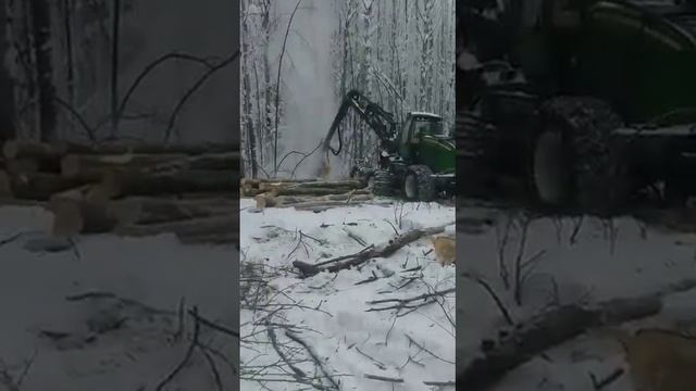 10 тысяч кубометров древесины заготовят на делянках в тавдинской ИК-19 смотреть онлайн