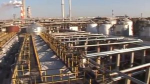 Завод масел 2013 г.