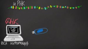 Биология 10 класс урок 18  Сходство и различие молекул ДНК И РНК