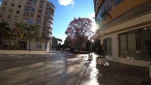 Ricoh GR III Review and Macro Photography