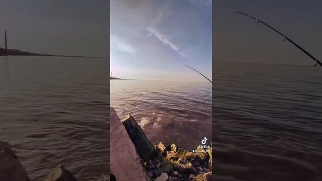 Рыбалка в Махачкале #fishing