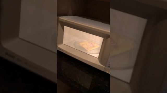 Potato Chip Bag in Microwave