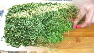 Стебли больше НЕ ВЫБРАСЫВАЮ! Зелень на ЗИМУ 2 варианта хранения! Универсальная ПРИПРАВА на зиму!