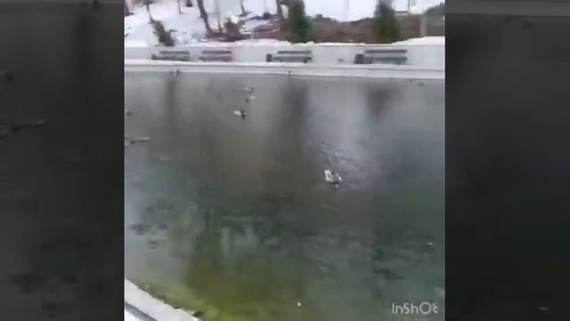 ЖК Легенда парк. Риэлтор Шахова Юлия