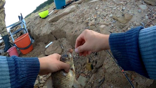 Карась на блесну, окунь на макароны Рыбалка наоборот смотреть онлайн