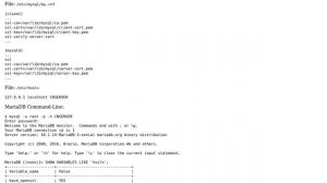 Databases: Enabling SSL in MariaDB running on Synology NAS (3 Solutions!!)