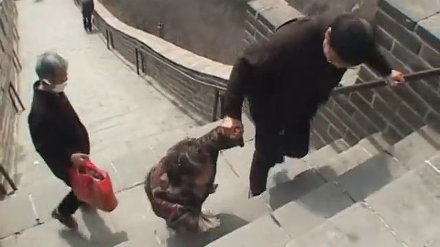 China The great Wall of China Великая Китайская Стена Девочка поднимается по ступеням смотреть онлайн