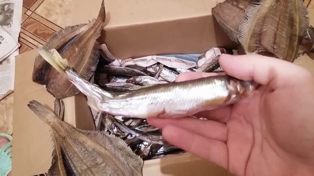 Вяленая рыба своими руками  Камбала Зубарь