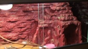 террариум из алюминиевого профиля