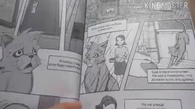 Обзор на мангу коты воители "Крутобок и Бич"