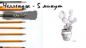 Кактус простым карандашом за 9 минут. Челлендж-пятиминутка. Рисуем регулярно