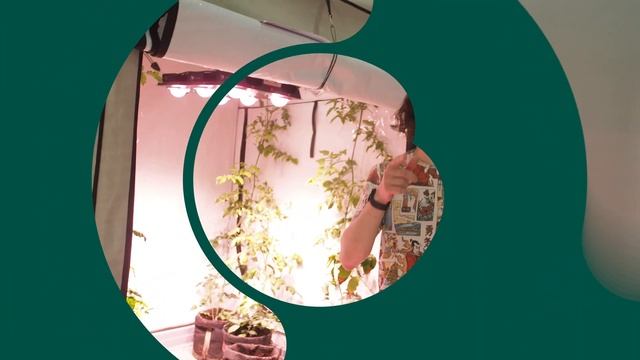 Сравнениваем ДНаЗ с LED светильниками
