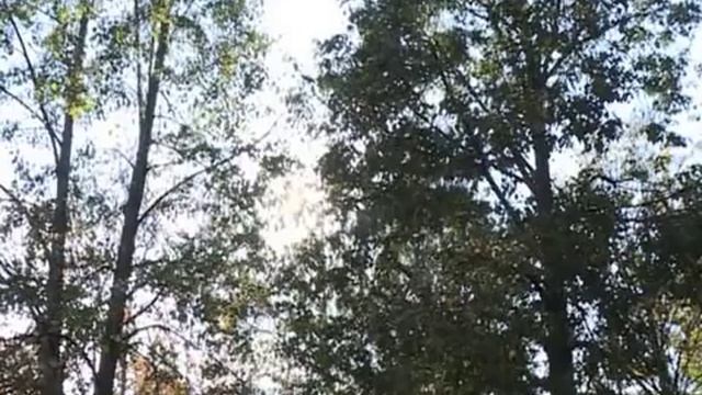 Осенняя депрессия: четыре самоубийства произошло на Вологодчине с начала сентября смотреть онлайн