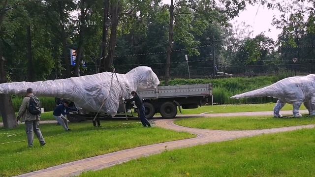 В Великих Луках есть парк с динозаврами. Видео про установку динозавров.