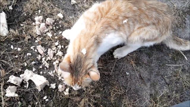 Чудеса случаются смотреть онлайн