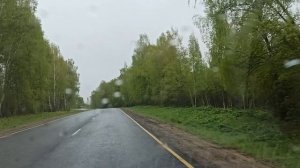 Майский снег в Переславле-Залесском (2022-05-24)
