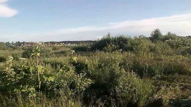 10 июля 2017 г. смотреть онлайн