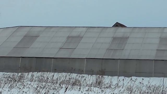 Тепличный бизнес