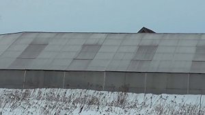 Тепличный бизнес