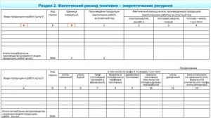 Порядок заполнения формы 4-ТЭР "Сведения об использовании топливно-энергетических ресурсов"