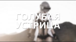 PUBG: BATTLEGROUNDS / Голубая устрица