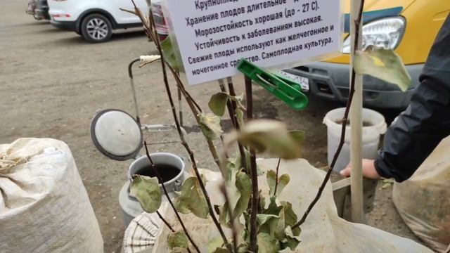 РАЗДОЛЬЕ САДОВОДА? НАШЛА ХОРОШИЙ ПАВИЛЬОН? смотреть онлайн