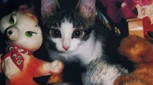 Гражданская оборона - Он увидел солнце