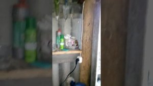 Запуск насоса Вихрь370