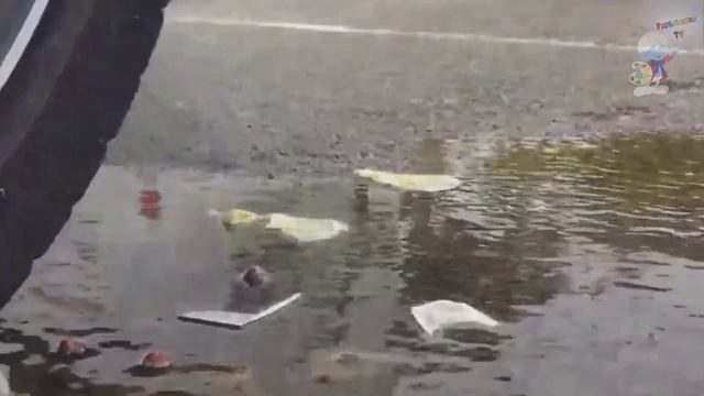 Разноцветный Челлендж - Машина уничтожает разные предметы смотреть онлайн