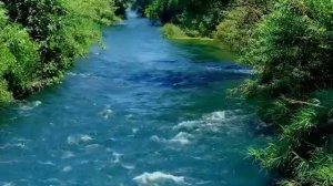 Ошо.Ум и медитация.