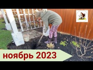 Пересадки в ноябре. Архив середина ноября 2023.