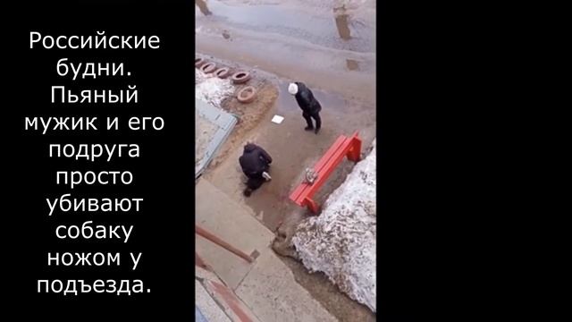 Российские будни. Пьяный мужик и его подруга просто убивают собаку ножом у подъезда. смотреть онлайн