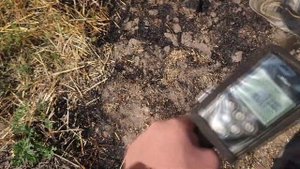Как звучит ЗОЛОТО на XP DEUS #копUA