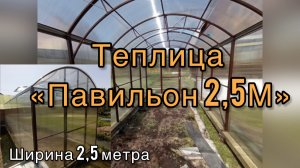 ПРЯМОСТЕННАЯ ВЫСОКАЯ ТЕПЛИЦА. ПАВИЛЬОН 2,5М.