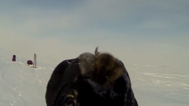 Маршрут: Ямбург - Диксон - Дудинка | fbBp.ru смотреть онлайн