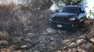 2020 Toyota Sequoia TRD Pro