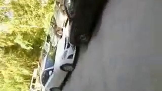 Выход из здания быв. завода Ленинец в Мадриде ( р - он Гатчины ) ; 15.06.2017 г. смотреть онлайн