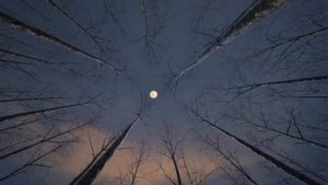 ВОЛШЕБНАЯ МАНТРА: исполнение желаний, помощь в намерении.
#предназначение #исполнениежеланий