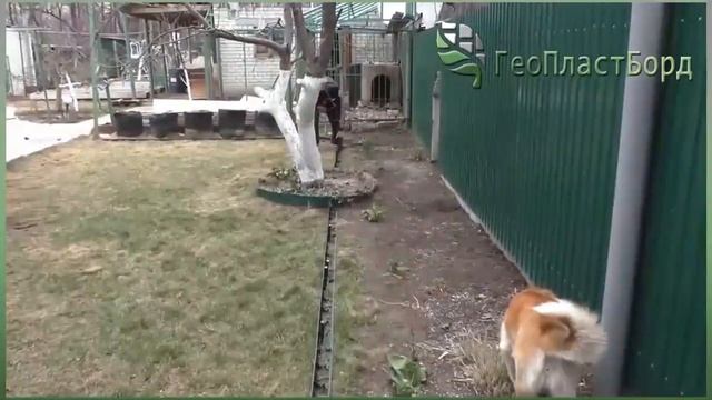 Установка метрового бордюра ГеоПластБорд. Видео отзыв от нашего клиента смотреть онлайн